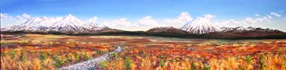 Long White Cloud by Sue Graham
